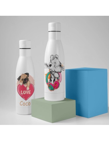 Bidones de Acero Inoxidable Personalizados - Botellas Reutilizables de 650ml